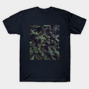 Autumn leaves - Abstract photography T-Shirt